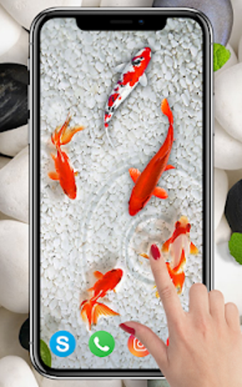 Imagen 1 para KOI Fish Live Wallpaper :…