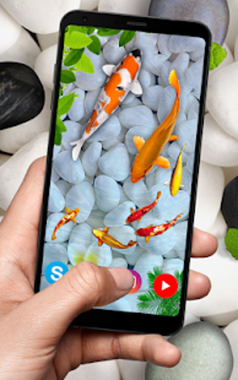 Imagen 0 para KOI Fish Live Wallpaper :…