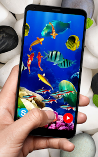 Imagen 3 para KOI Fish Live Wallpaper :…