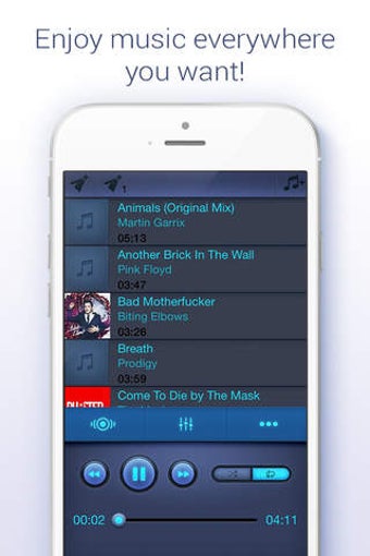 Image 0 for Music Paradise Player