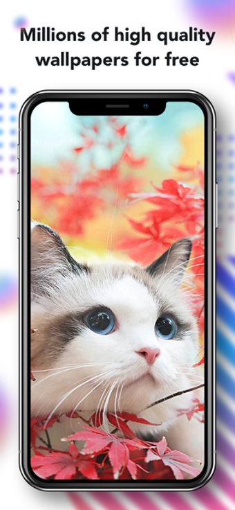 Imagen 1 para Nox Lucky Wallpaper