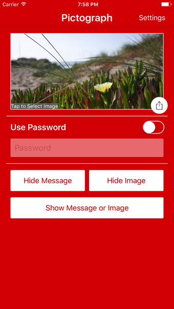 Image 0 for Pictograph - Hide Message…