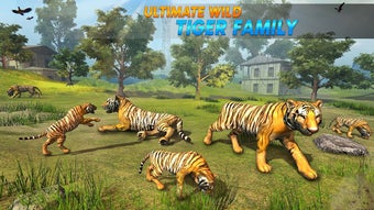 Image 2 for Wild Tiger Family surviva…