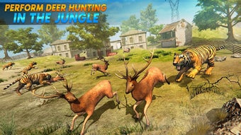 Image 0 for Wild Tiger Family surviva…