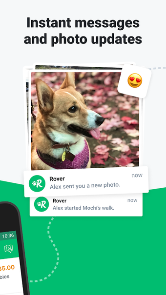 Imagen 3 para Rover - Dog Boarding & Wa…