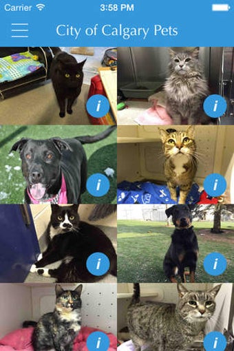 Image 0 for City of Calgary Pets
