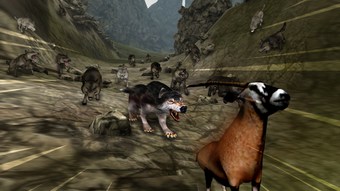 Image 2 for Life Of Wolf 2014 FREE.