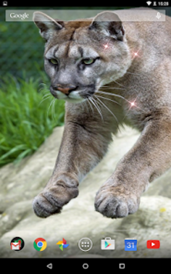 Image 0 for Puma Live Wallpaper
