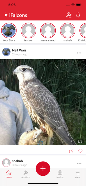 Image 2 for iFalcons