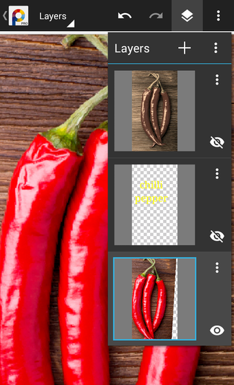 Image 2 for PhotoSuite 4 Pro