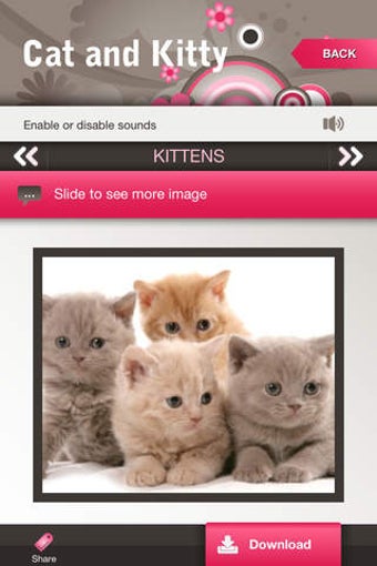 Imagen 0 para Cat and Kitty! Adorable c…