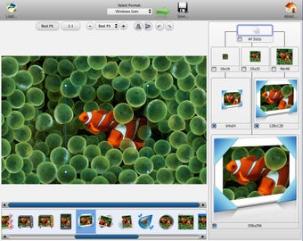 Image 0 for Icon Commander