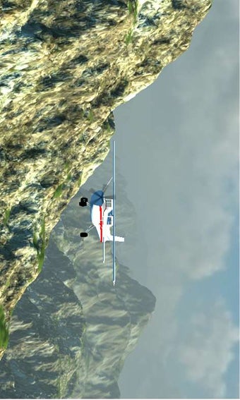 Imagen 2 para Cessna Flight for Windows…