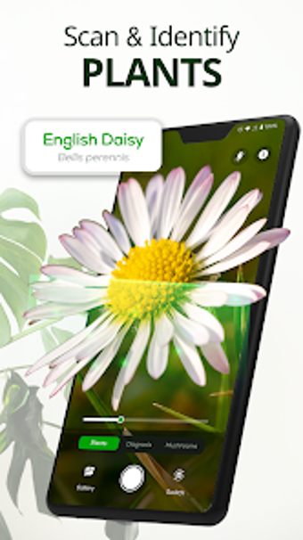 Image 0 for iPlanter: AI Plant Identi…