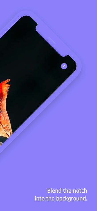 Image 1 for Notchless - Wallpapers