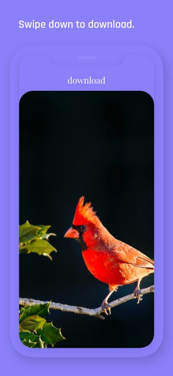 Image 0 for Notchless - Wallpapers
