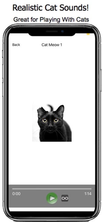 Image 0 for Realistic Cat Sounds!