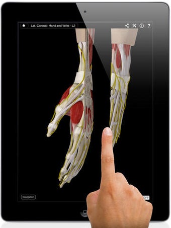 Image 0 for Hand and Wrist Pro III wi…