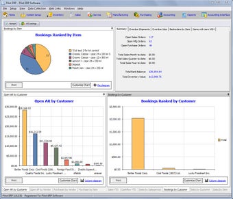 Imagen 2 para Pilot ERP