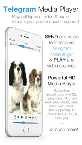 Image 2 for Telegram Media Player - V…