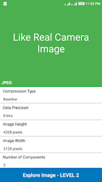 Image 2 for Fake Image Detector