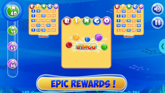 Image 3 for Bingo