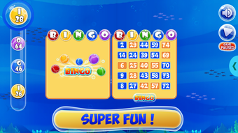 Image 2 for Bingo
