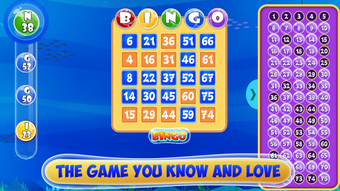 Image 0 for Bingo