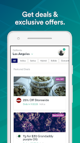 Imagen 2 para Muncheez | Find Marijuana…