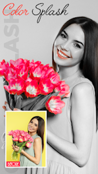 Image 1 for Color Splash Effect Photo…