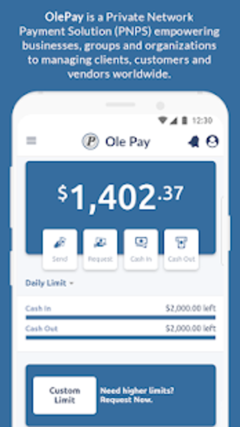 Image 0 for Ole Pay