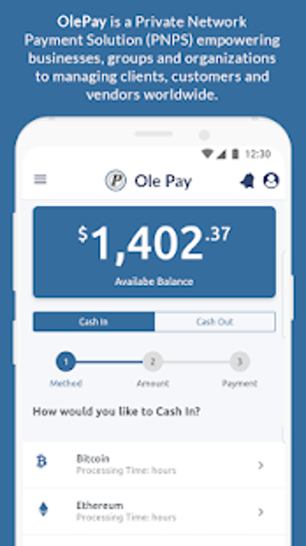 Image 3 for Ole Pay