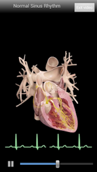 Image 0 for Cardiological