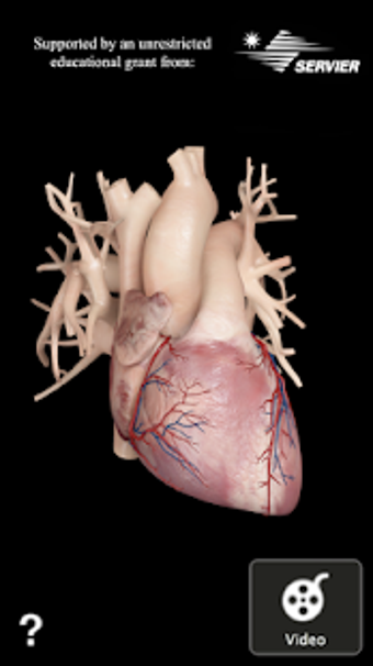 Image 3 for Cardiological