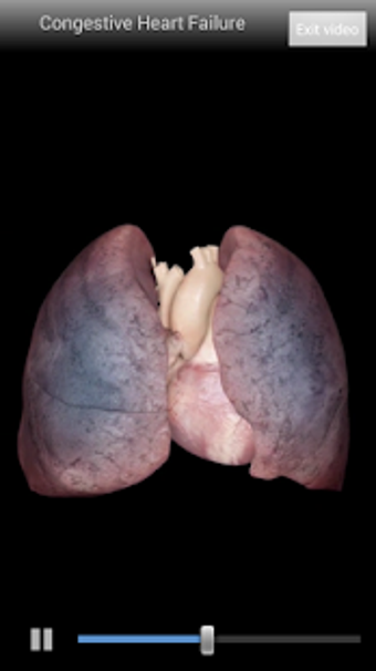 Image 2 for Cardiological