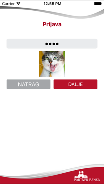 Image 1 for PABA Token