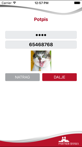 Image 2 for PABA Token