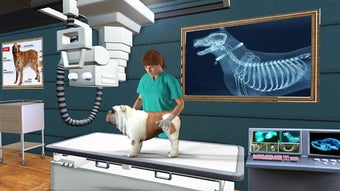 Image 2 for Pet Hospital Simulator 20…