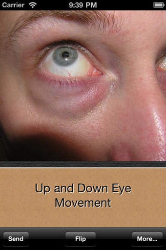 Image 0 for Relearning To See: Improv…