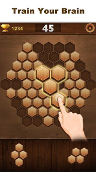 Imagen 3 para Wood Block Hexagon