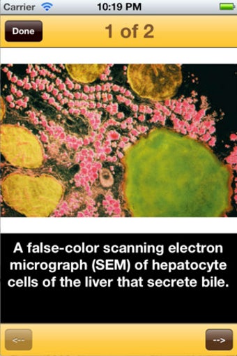 Image 5 for Encyclopedia of Cancer
