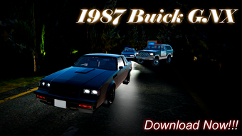 Image 0 for Buick GNX 1987 for CindyC…