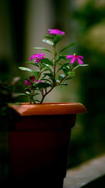 Image 0 for Ab Se Tumhara Dil Mera Hu…