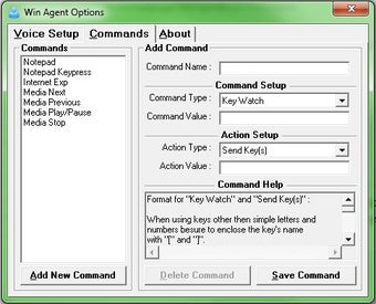 Imagen 0 para WinAgent
