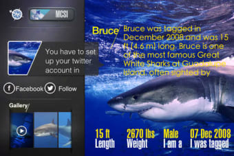 Image 0 for Expedition White Shark