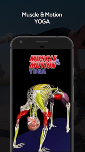 Imagen 0 para Yoga by Muscle & Motion