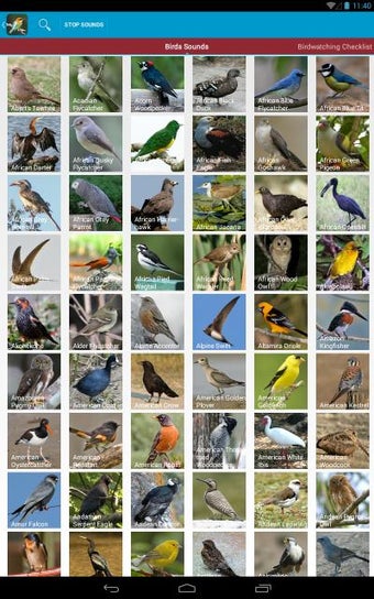 Imagen 1 para World Birds Sounds Free