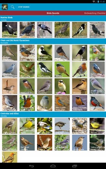 Imagen 0 para World Birds Sounds Free