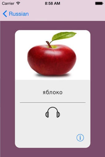 Image 0 for Learning Russian Basic 40…