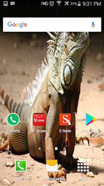 Image 1 for Iguana Walpaper HD